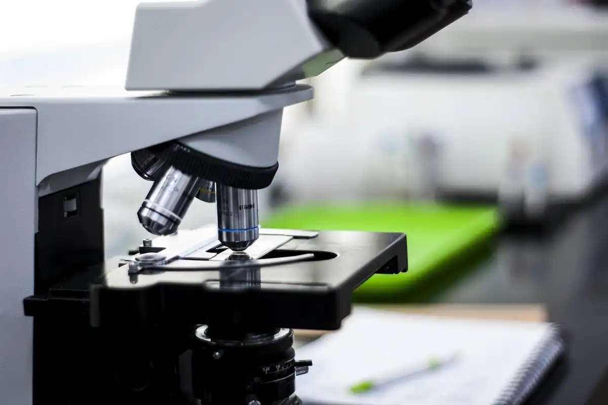 Lamă de microscop pe un banc de laborator, pentru examinarea celulelor din sânge