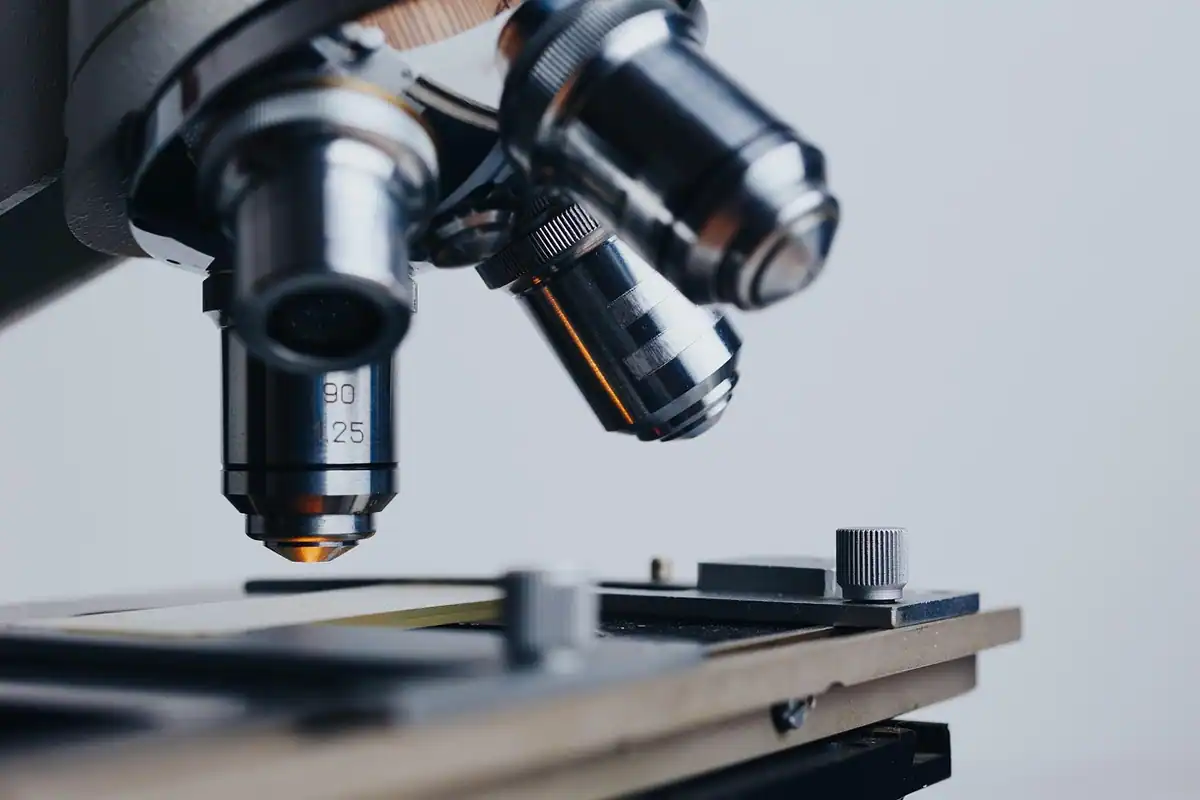 Microscop optic cu obiective pregătite pentru căutarea ouălor de paraziți în proba de scaun