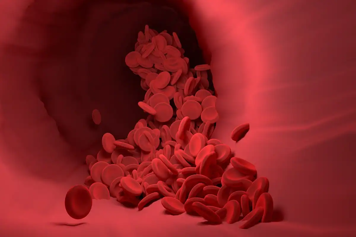 Globule roșii care curg printr-un vas de sânge, purtătoare de hemoglobină
