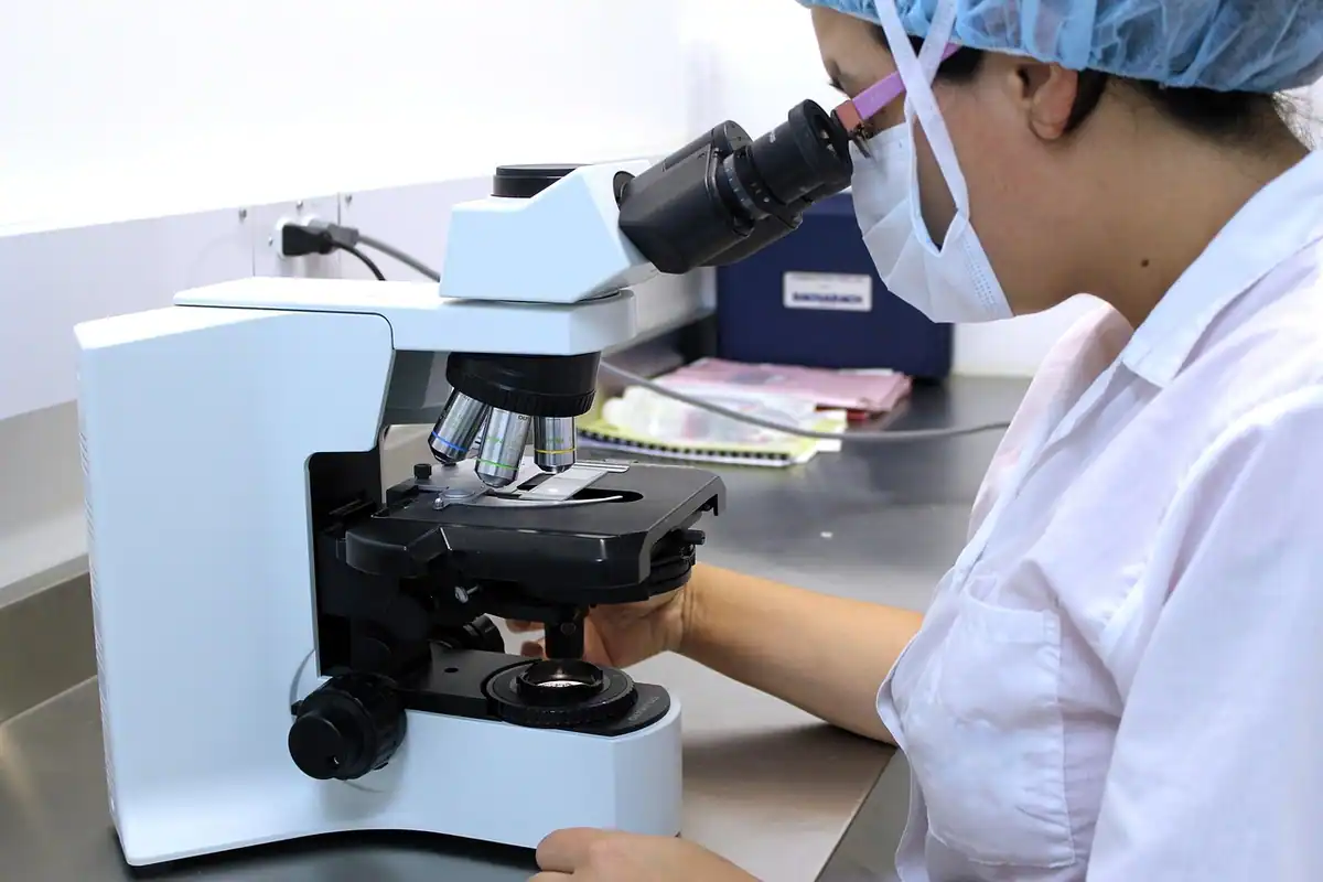 Lamă de microscop cu o probă biologică, așezată într-un laborator medical