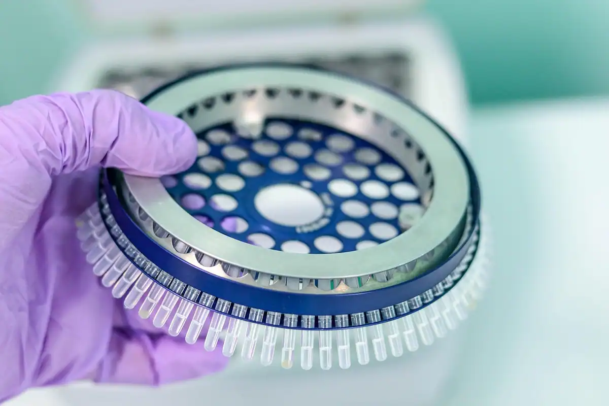 Mână cu mănușă mov care încarcă rotorul unei centrifuge cu o nouă probă
