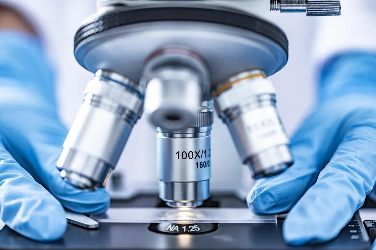 Mâini cu mănuși care reglează microscopul pentru examinarea sedimentului urinar