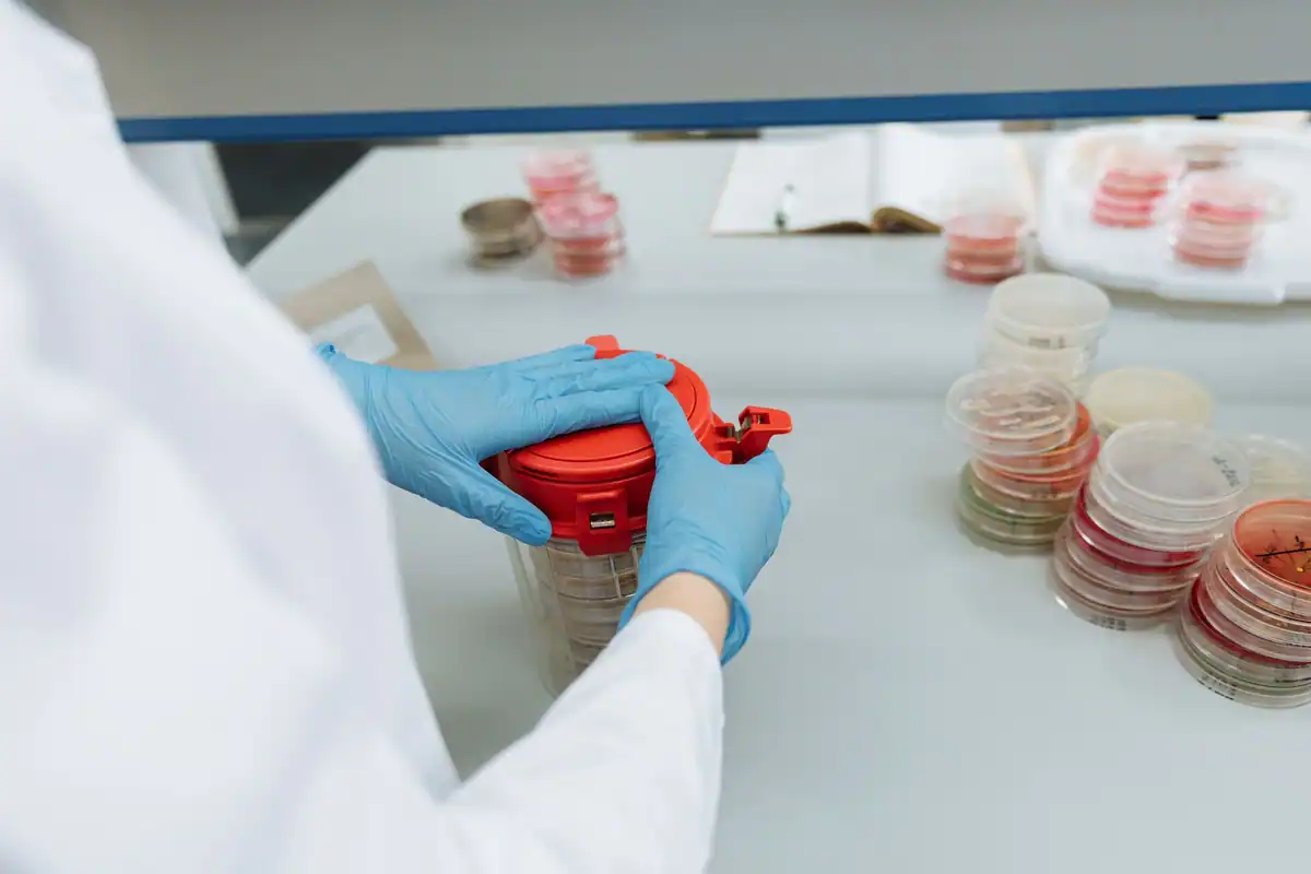 Specialist cu mănuși care manipulează cutii Petri într-un laborator de cercetare